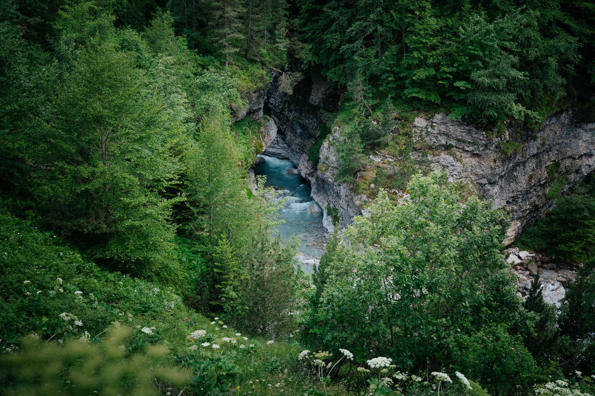 Gorge turquoise en forêt à Gavarnie