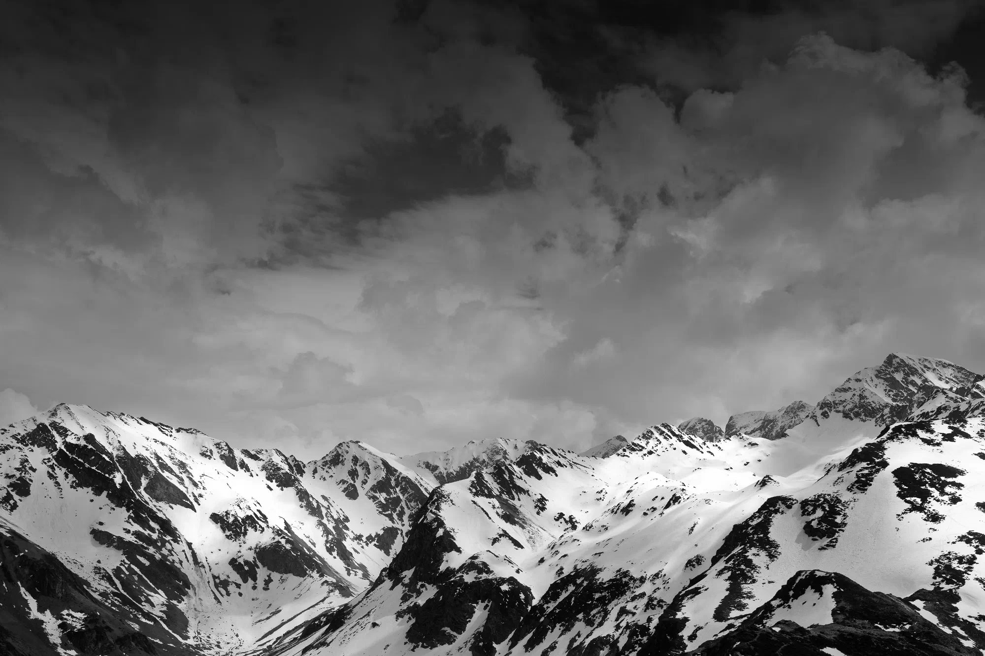 Hiver dramatique en noir et blanc