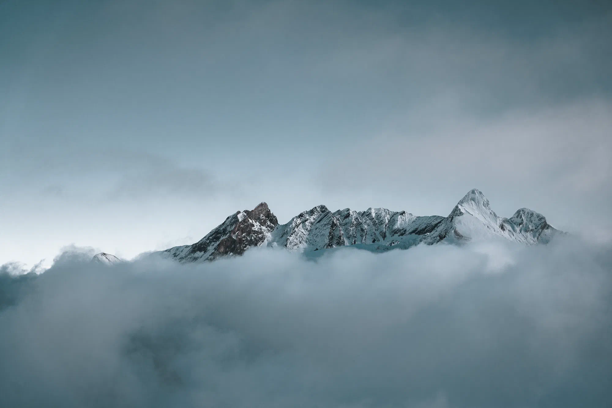 Cimes d'acier dans la brume